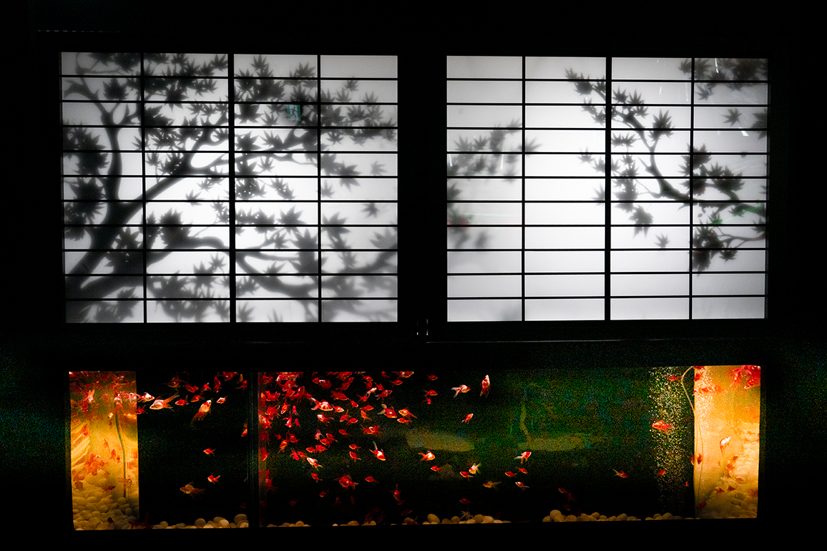 二科会写真部東京支部