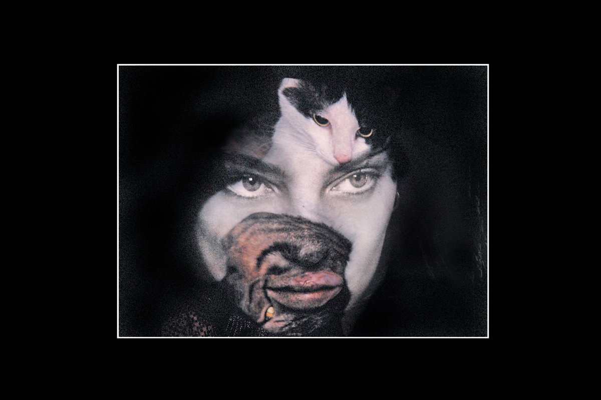 二科会写真部東京支部