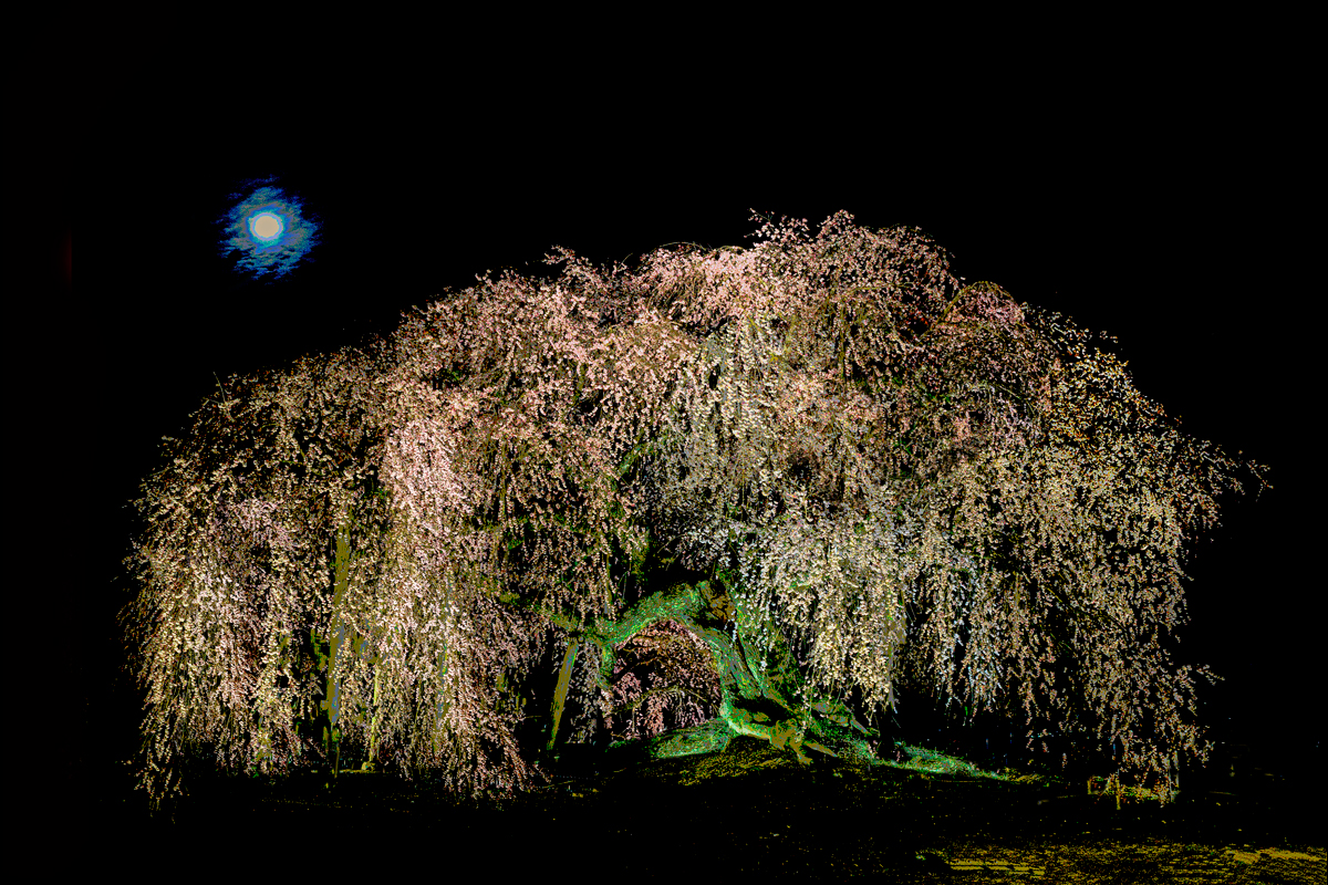 二科会写真部東京支部