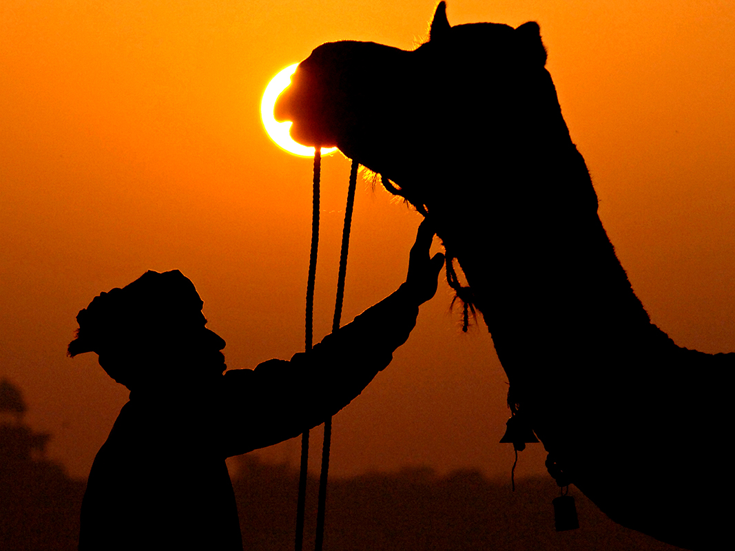 タージマハールの夜明け