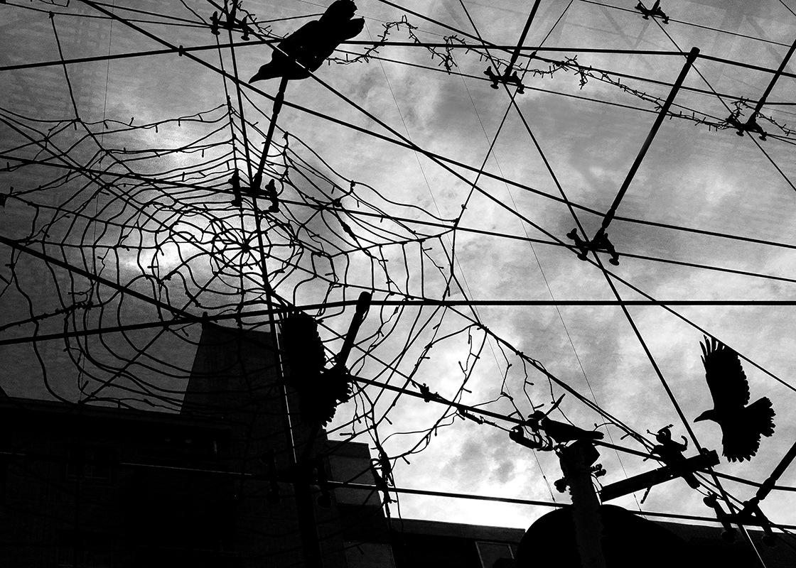 ハロウィーンの日